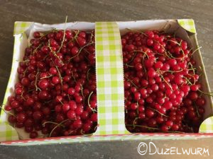 Frische Johannisbeeren